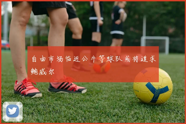 自由市场临近公牛等球队或将追求鲍威尔