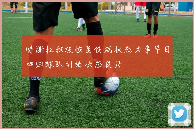特谢拉积极恢复伤病状态力争早日回归球队训练状态良好