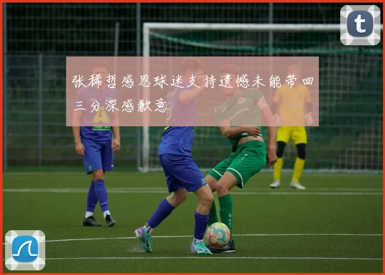 张稀哲感恩球迷支持遗憾未能带回三分深感歉意